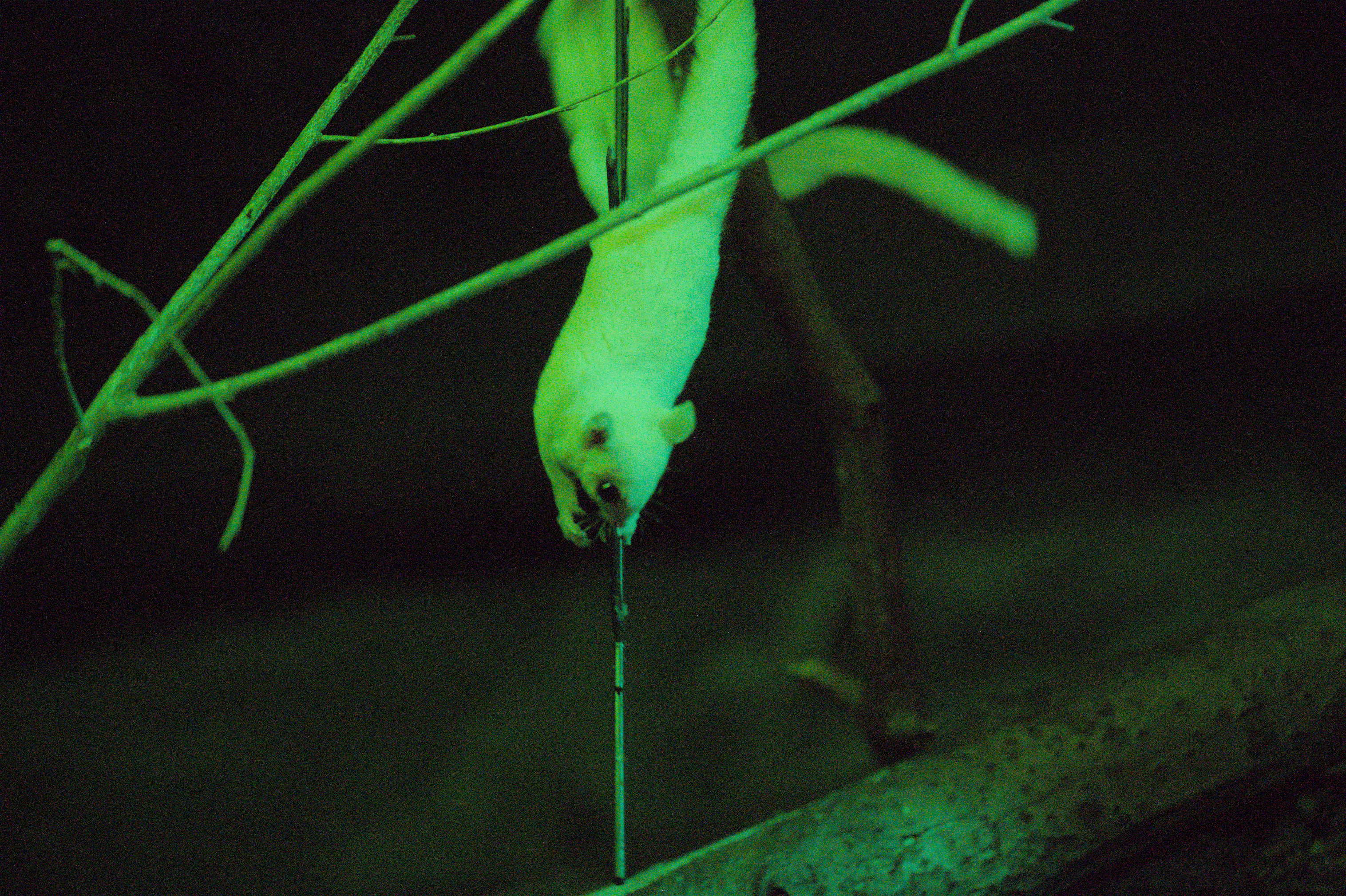 2025/10/12 - zoo/DSC_0257.jpg